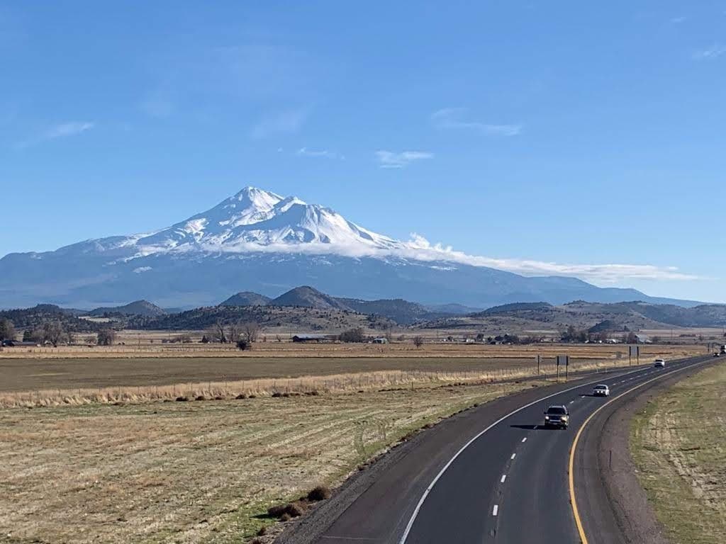 Shasta